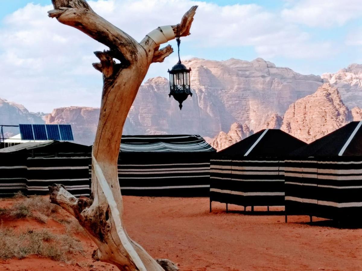 Desert Tree Camp&Tours Wadi Rum Eksteriør bilde