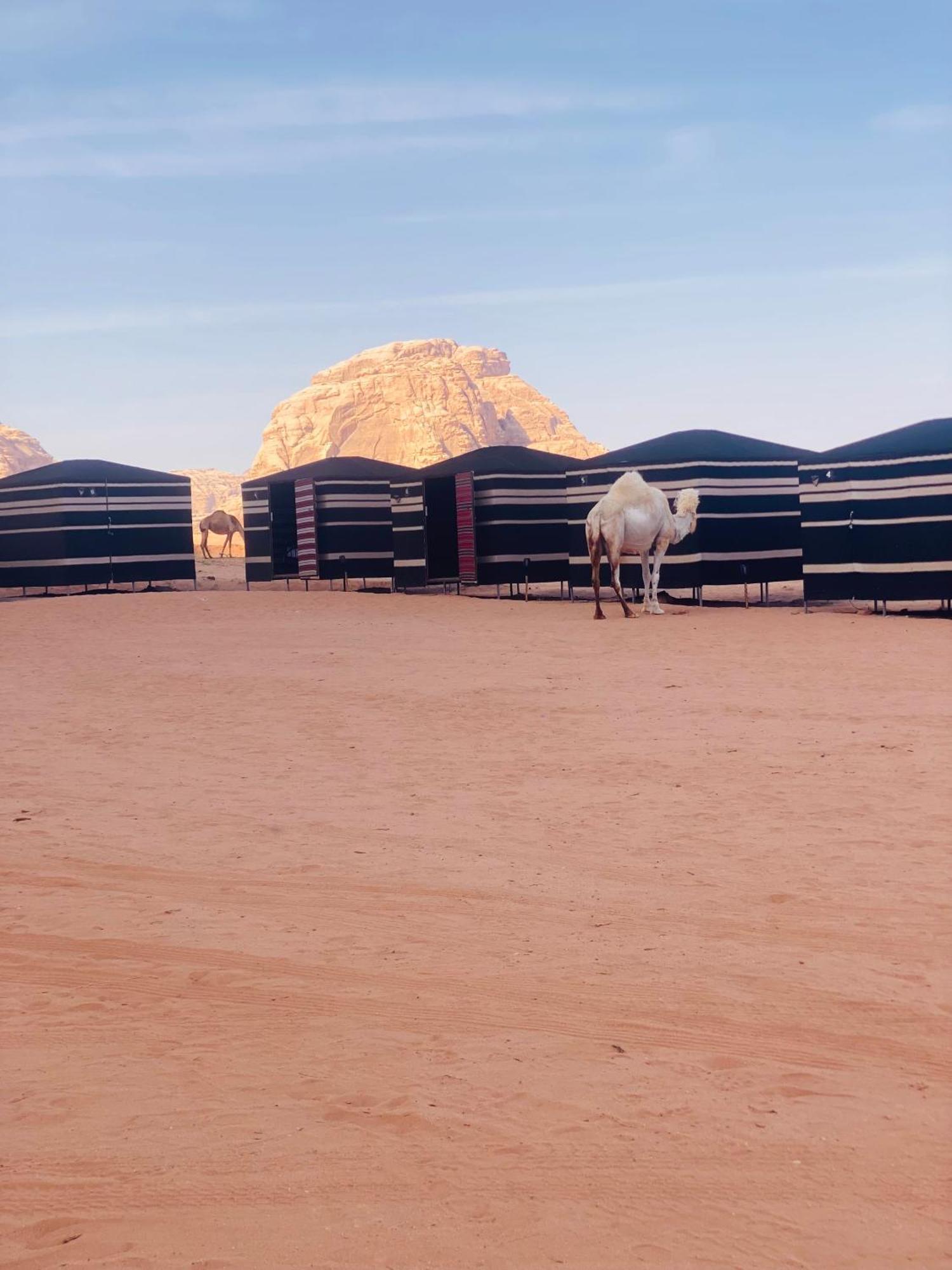 Desert Tree Camp&Tours Wadi Rum Eksteriør bilde